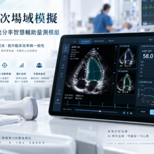 單次場域模擬-心射出分率智慧輔助量測模組